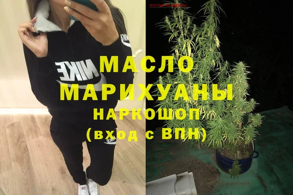 индика Верея